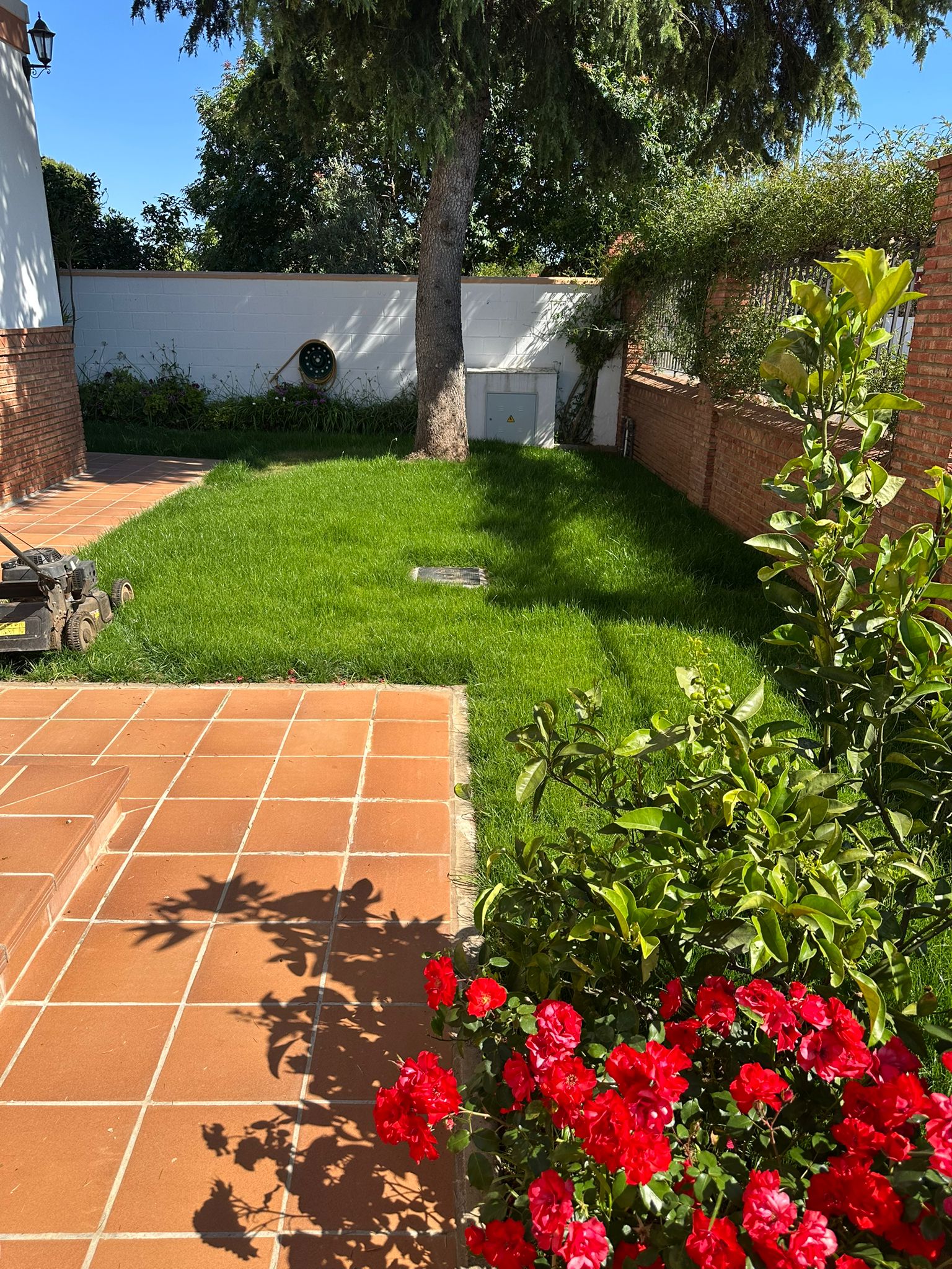 ANTES Y DESPUES (2) ANTES Y DESPUES (2)